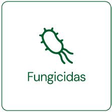 Fungicidas-Carrusel Fungicida Carrusel
