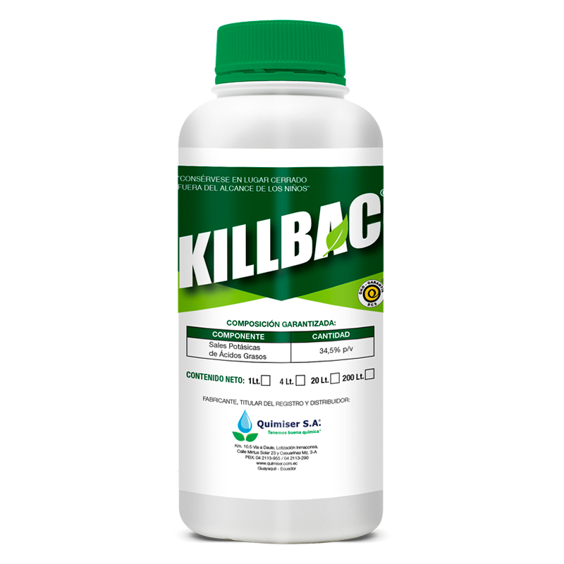 KILLBAC