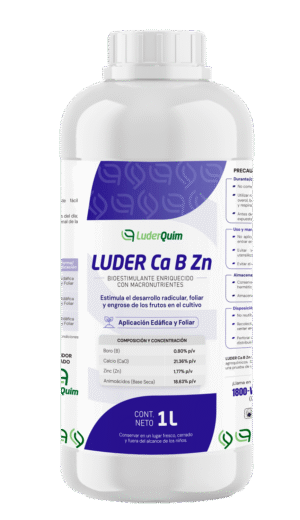 LUDER CA B ZN