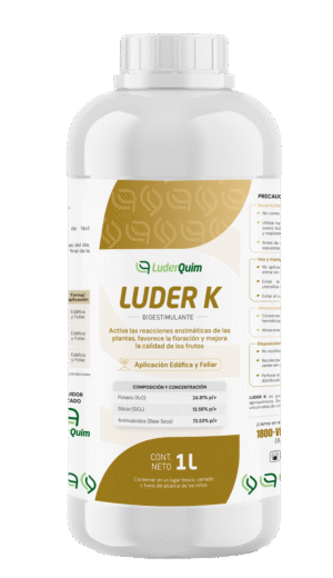 LUDER K