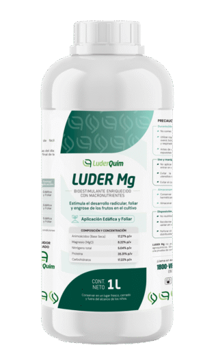 LUDER MG