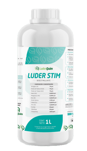 LUDER STIM