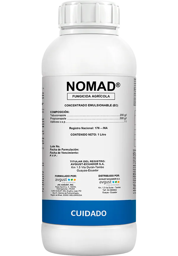 NOMAD