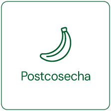 Postcosecha-Carrrusel Postcosecha Carrrusel