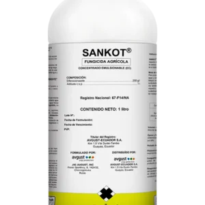 Avgust Sankot