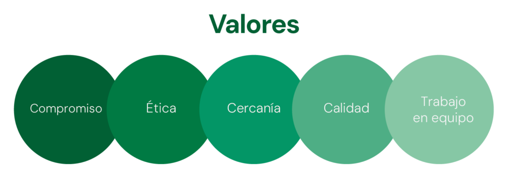 Valores Nosotros